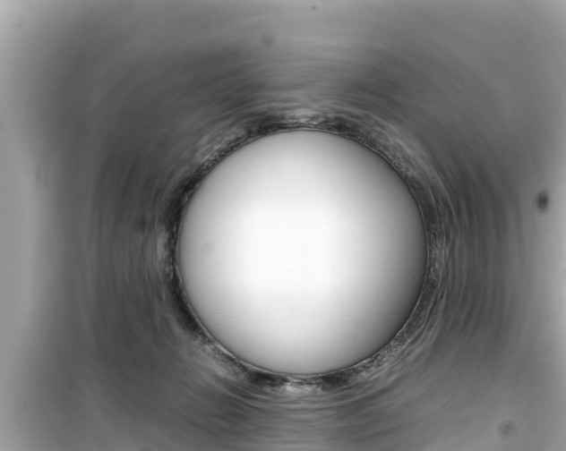 X0000099940270200805231027