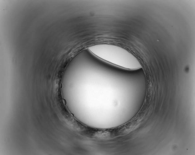 X0000099940271200805231027