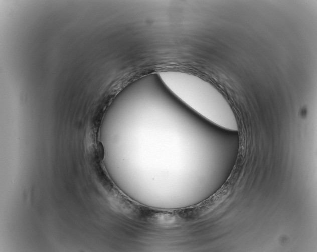 X0000099940272200805231027