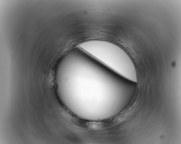 X0000099940273200805231027