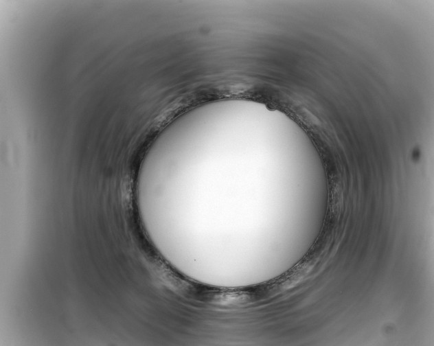 X0000099940274200805231027