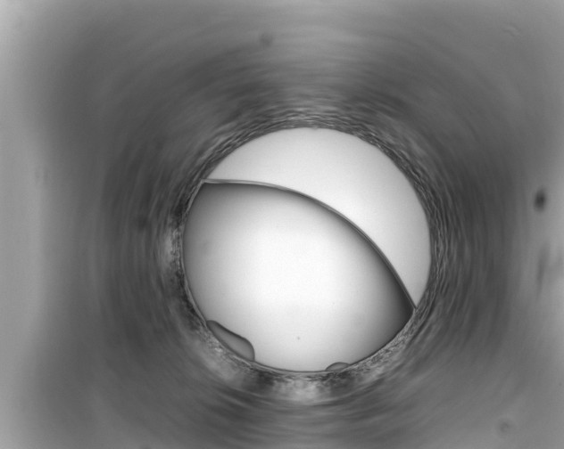 X0000099940276200805231027