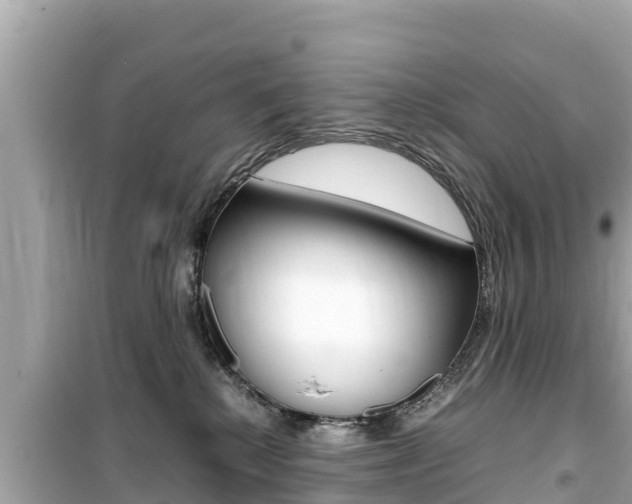 X0000099940280200805231027