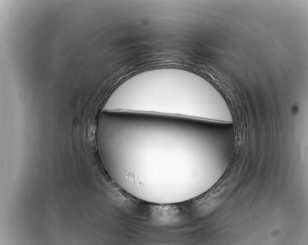 X0000099940281200805231027