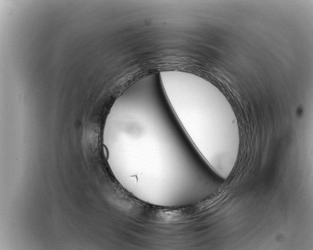 X0000099940283200805231027