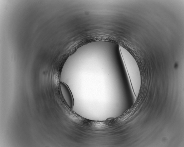 X0000099940287200805231027