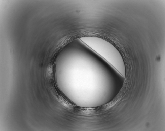 X0000099940288200805231028