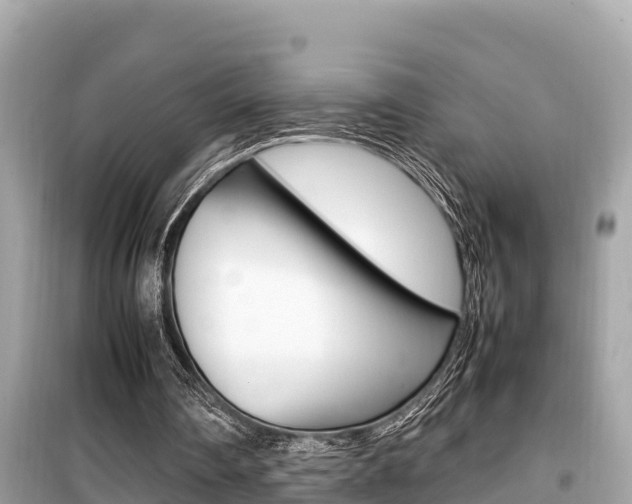 X0000099940290200805231027