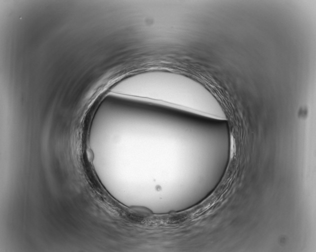 X0000099940291200805231027