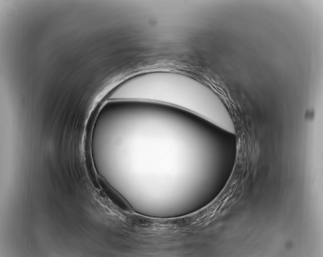 X0000099940292200805231027