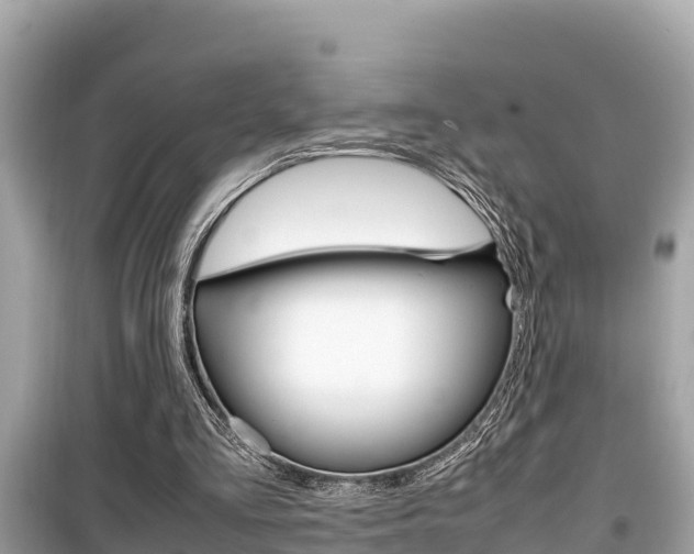 X0000099940293200805231027