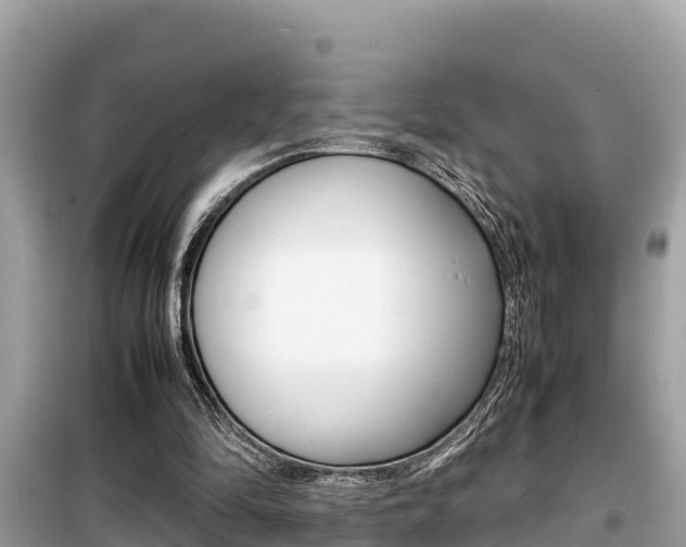 X0000099940294200805231027