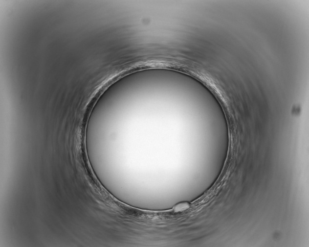 X0000099940297200805231027