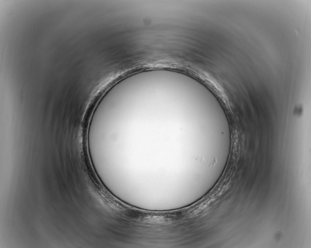 X0000099940298200805231027