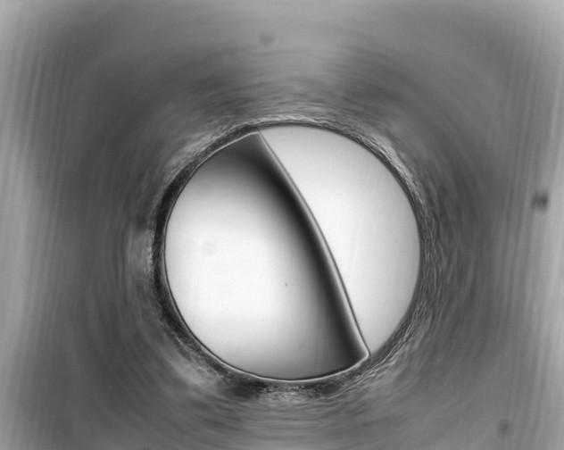 X0000099940299200805231027