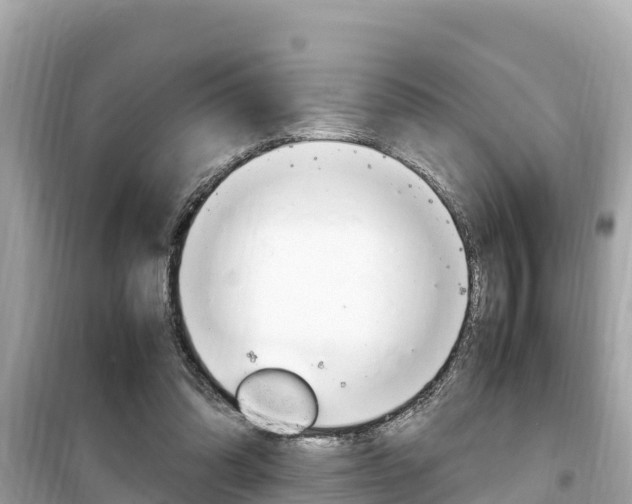 X0000099940302200805231027