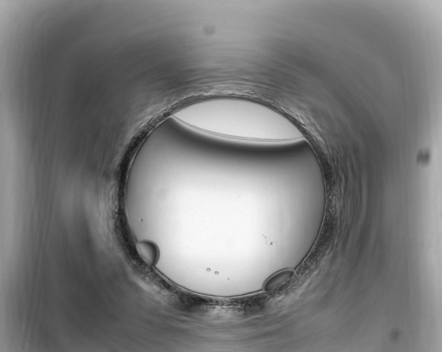 X0000099940303200805231027