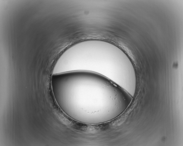 X0000099940305200805231027