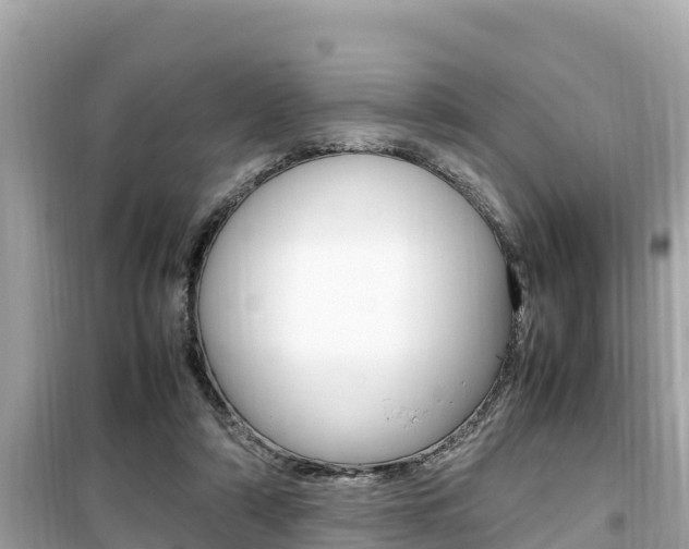 X0000099940306200805231027