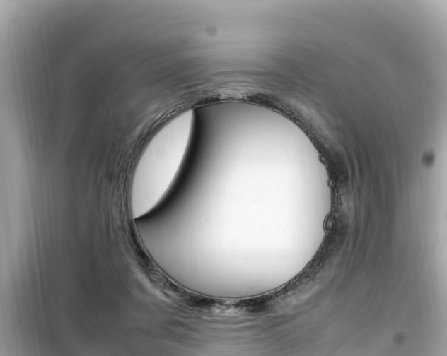 X0000099940311200805231027
