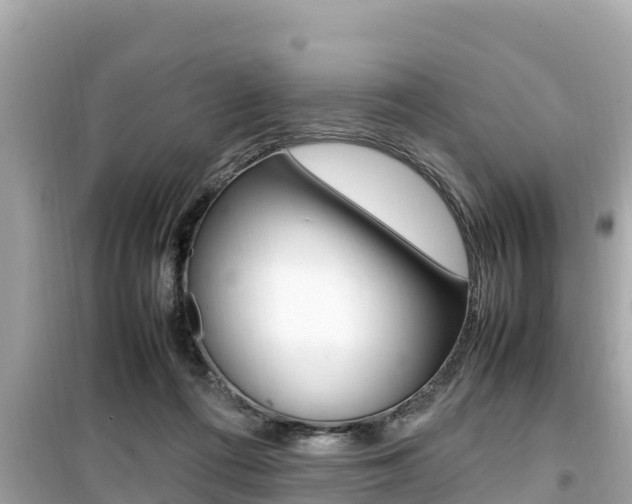 X0000099940312200805231027