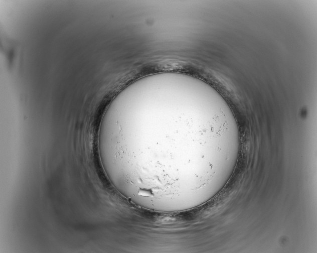 X0000099940315200805231027