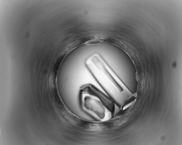 X0000099940316200805231027