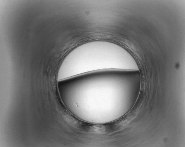 X0000099940317200805231027
