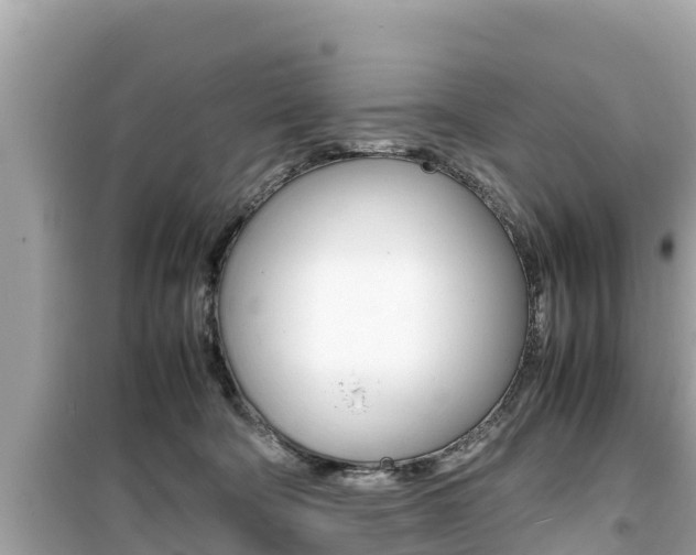 X0000099940322200805231026