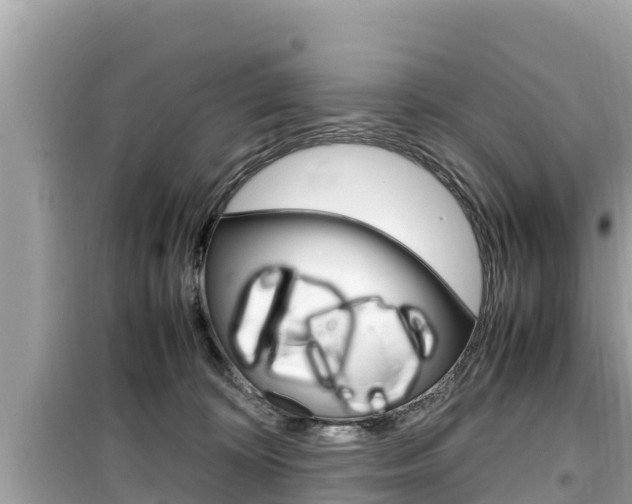 X0000099940324200805231026