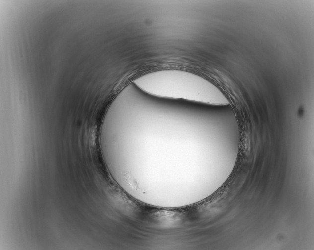 X0000099940326200805231026