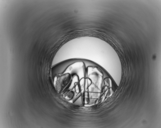 X0000099940328200805231026