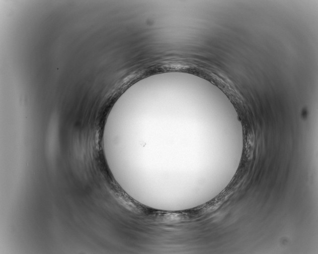 X0000099940330200805231026