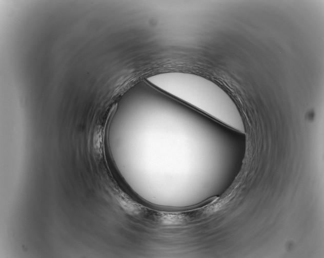 X0000099940336200805231026