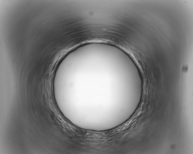 X0000099940337200805231025