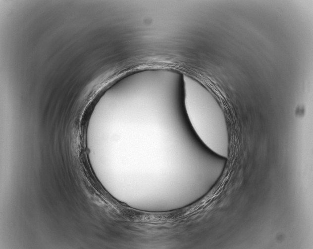 X0000099940338200805231025