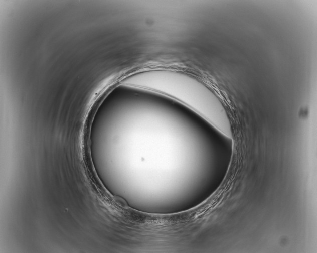X0000099940340200805231026