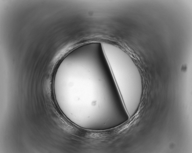 X0000099940341200805231026