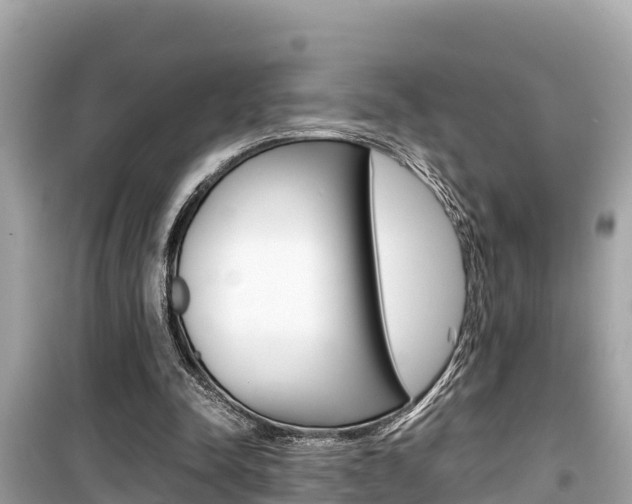 X0000099940342200805231026