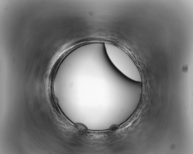 X0000099940343200805231026
