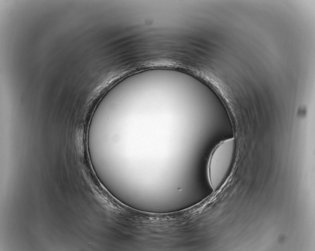 X0000099940345200805231026