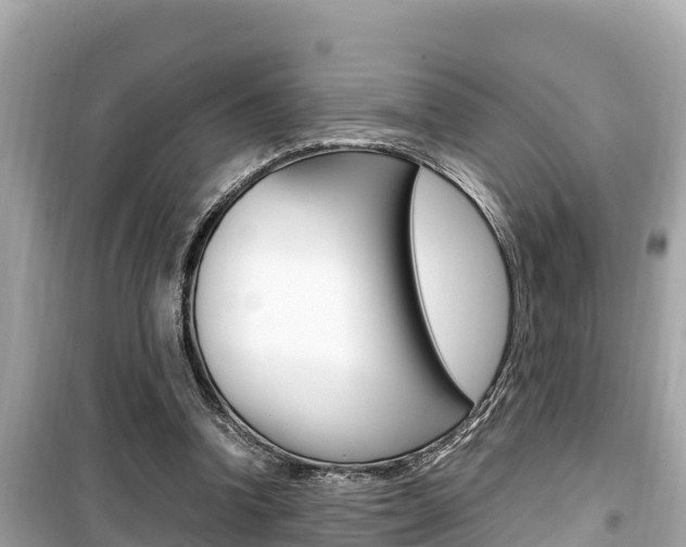 X0000099940346200805231026