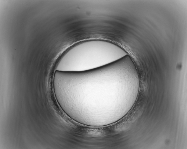X0000099940347200805231026