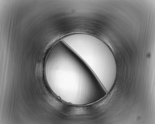 X0000099940349200805231026