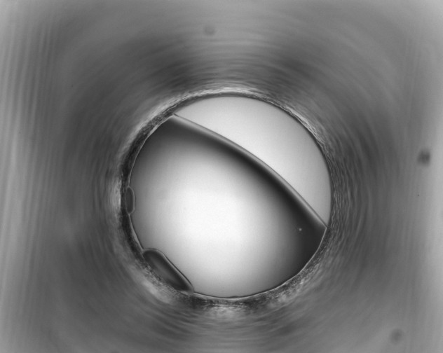 X0000099940350200805231026