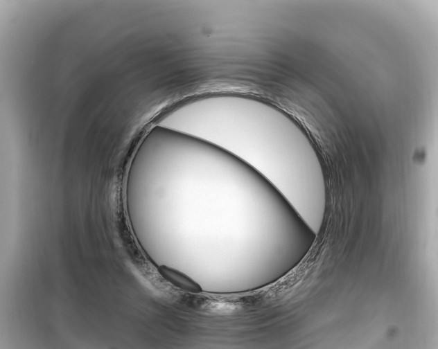 X0000099940352200805231026