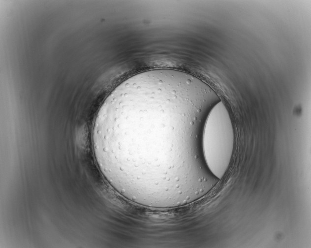 X0000099940359200805231026
