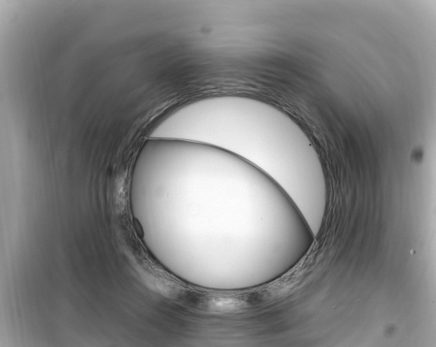 X0000099940360200805231026