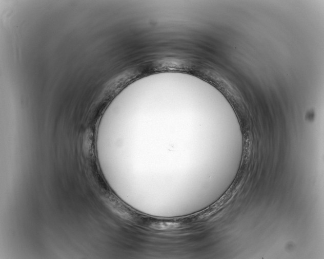 X0000099940361200805231026