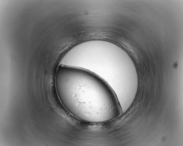 X0000099940362200805231026